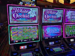 Fitur utama dan antarmuka interaktif togel4dseven untuk pemain berpengalaman dan pemula